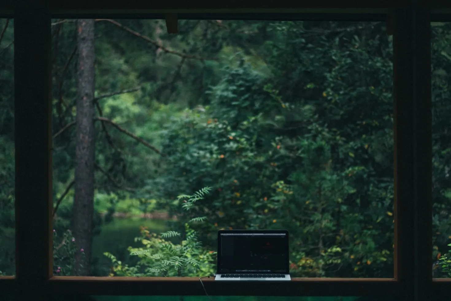 Laptop on a wooden table by a window, looking out on trees